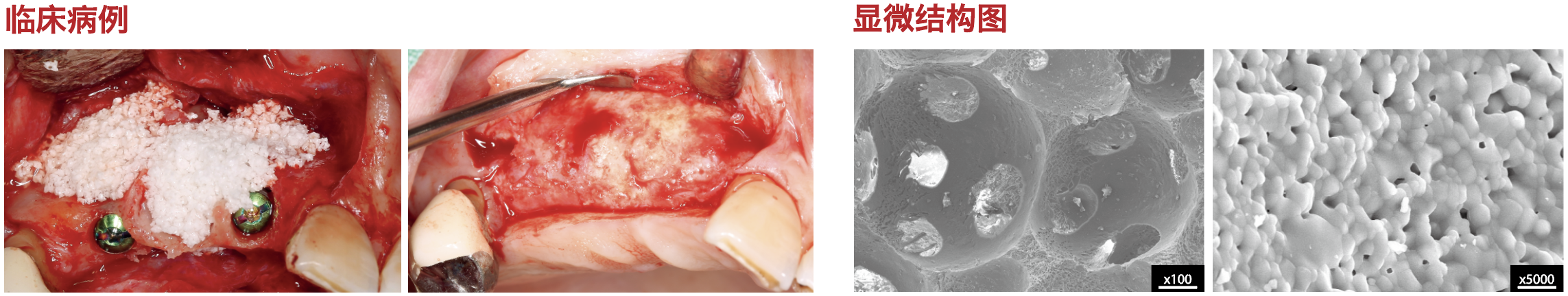 1743582522689762.png 1743582522689762.png